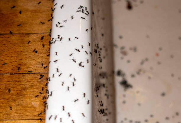 Bushyhead, OK Pest Control Company