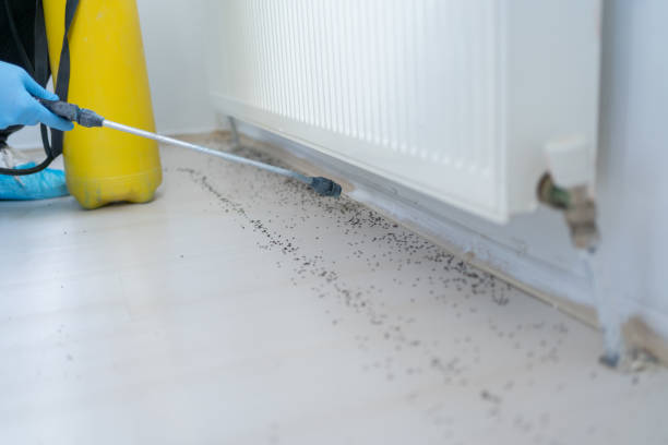 Best Best Pest Control Companies  in Bushyhead, OK